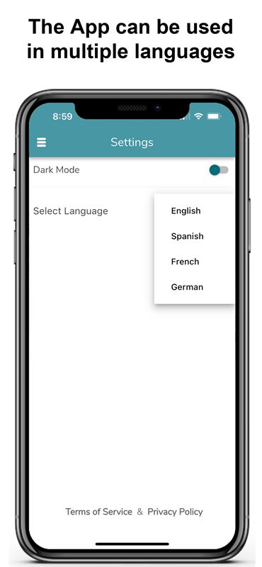 Choosing the app language